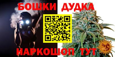 гидра Комсомольск-на-Амуре